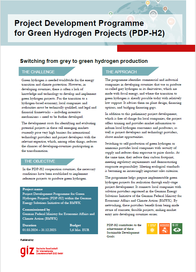 Project Development Programme for Green Hydrogen Projects (PDP-H2)